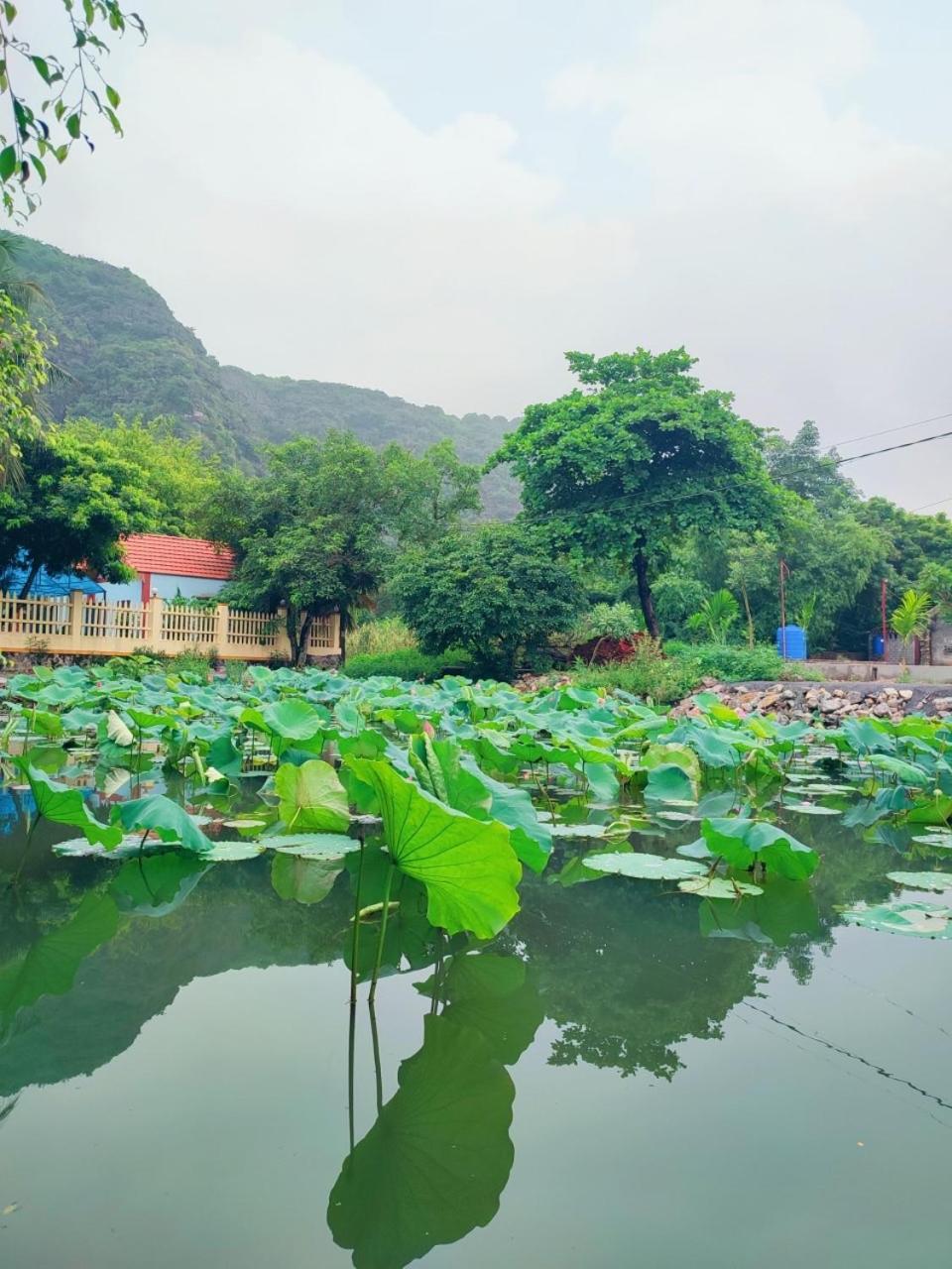 Trang An Natural Mountainside Homestay Ninh Binh Eksteriør billede