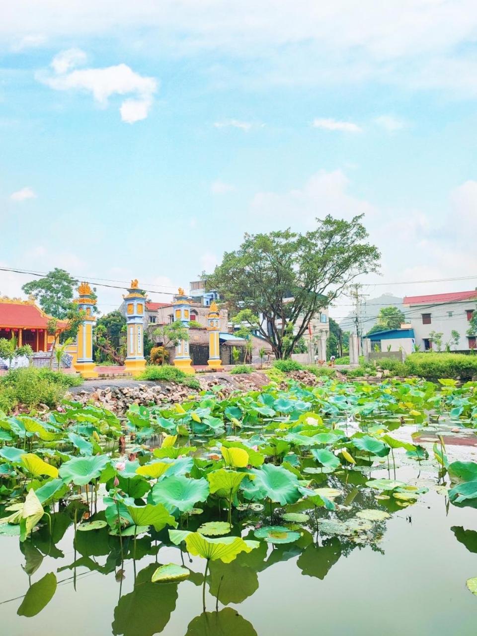 Trang An Natural Mountainside Homestay Ninh Binh Eksteriør billede