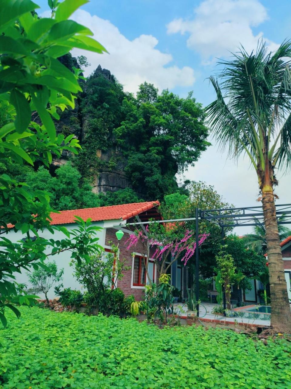 Trang An Natural Mountainside Homestay Ninh Binh Eksteriør billede