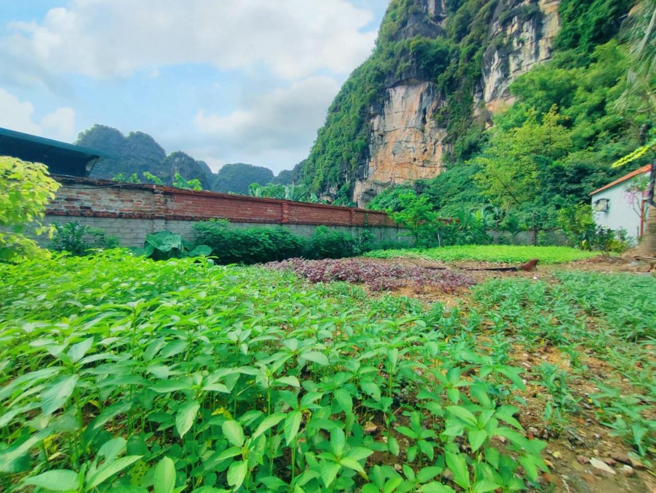 Trang An Natural Mountainside Homestay Ninh Binh Eksteriør billede
