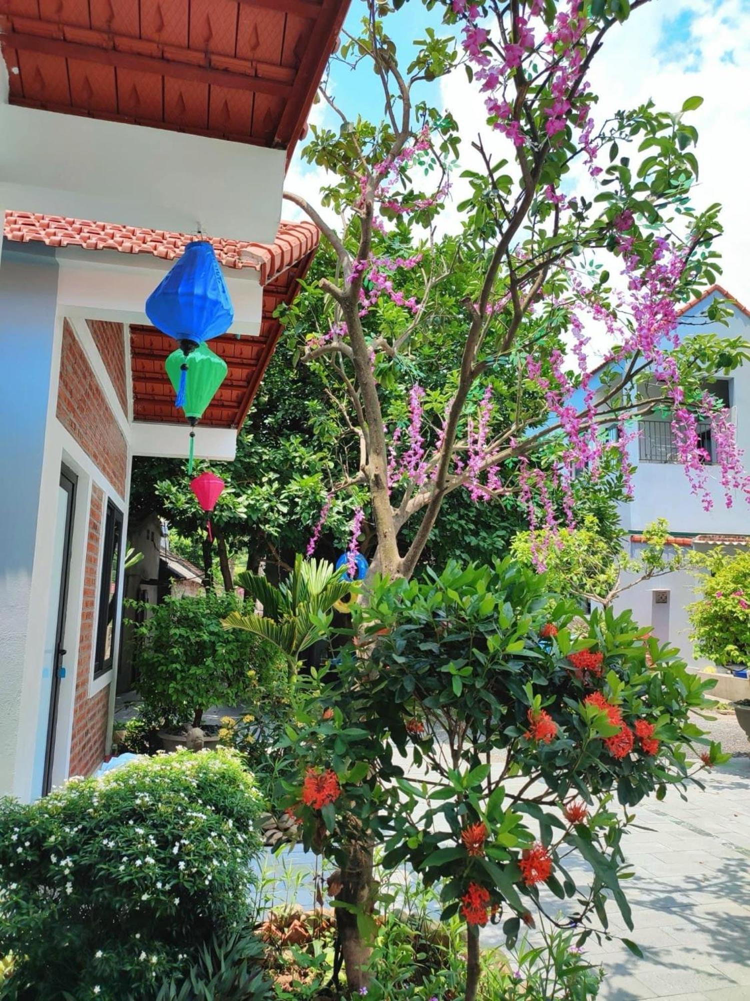 Trang An Natural Mountainside Homestay Ninh Binh Eksteriør billede